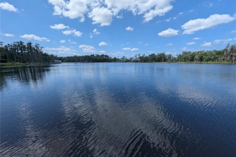 Купить земельный участок в Лутц, Флорида № 1602884 - фото 11
