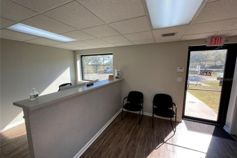 Propiedad comercial en venta en Tavares, Florida № 1520055 - foto 29