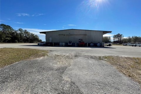 Propiedad comercial en venta en Tavares, Florida № 1520055 - foto 8