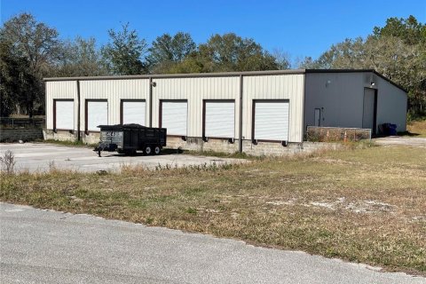 Propiedad comercial en venta en Tavares, Florida № 1520055 - foto 30