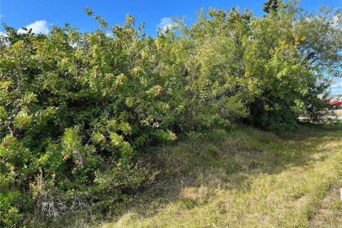 Land in Port Charlotte, Florida № 2211746 - photo 2