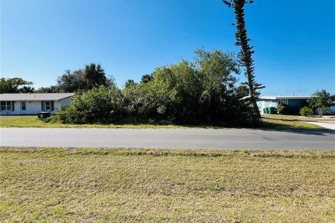 Land in Port Charlotte, Florida № 2211746 - photo 4