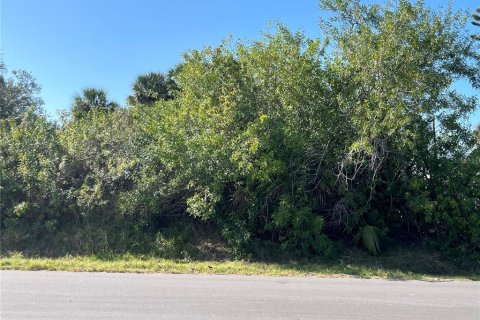 Land in Port Charlotte, Florida № 2211746 - photo 5