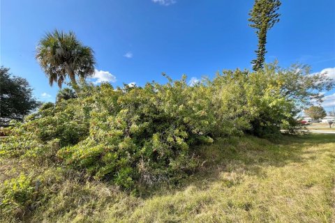 Land in Port Charlotte, Florida № 2211746 - photo 3