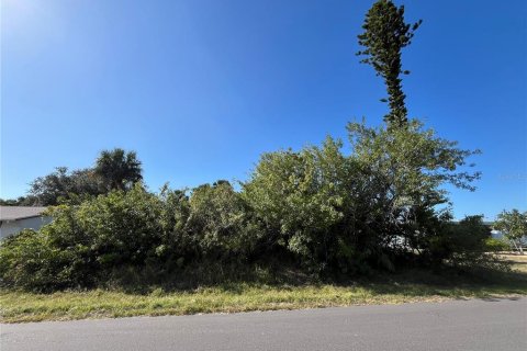 Terreno en Port Charlotte, Florida № 2211746