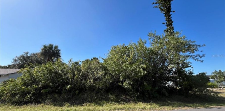 Land in Port Charlotte, Florida № 2211746