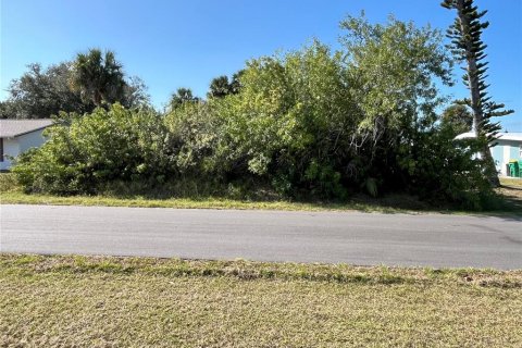Land in Port Charlotte, Florida № 2211746 - photo 6