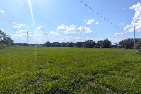 Land in Pomona Park, Florida № 1856568 - photo 6