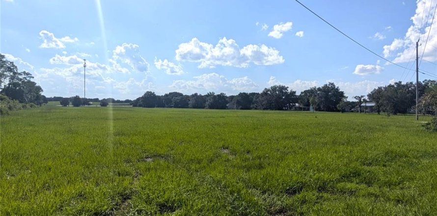 Terrain à Pomona Park, Floride № 1856568