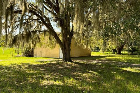 Terreno en venta en Pomona Park, Florida № 1856568 - foto 9