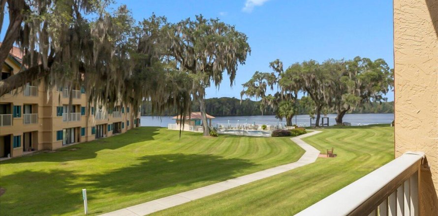 Condo à Welaka, Floride, 3 chambres № 770160