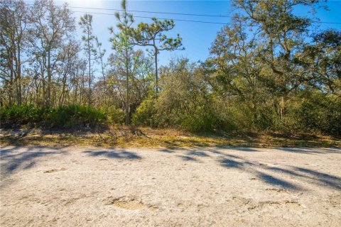 Land in Webster, Florida № 1542652 - photo 12