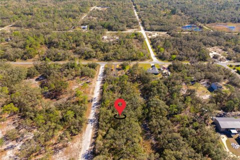 Land in Webster, Florida № 1542652 - photo 4