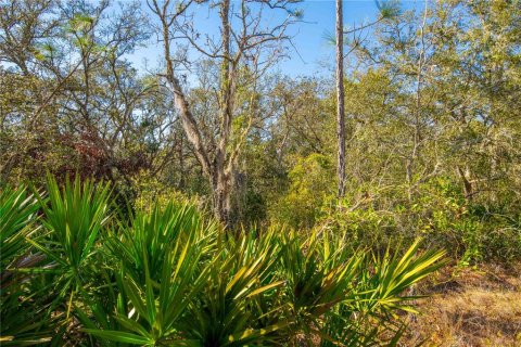 Land in Webster, Florida № 1542652 - photo 15