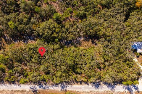 Land in Webster, Florida № 1542652 - photo 9