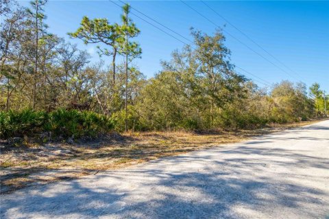 Land in Webster, Florida № 1542652 - photo 14