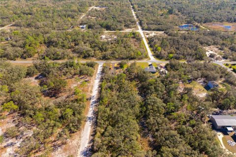Land in Webster, Florida № 1542652 - photo 5