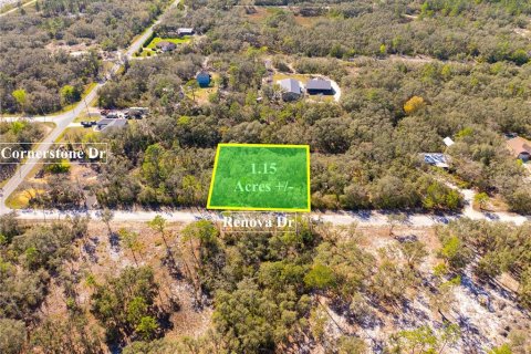 Land in Webster, Florida № 1542652 - photo 1