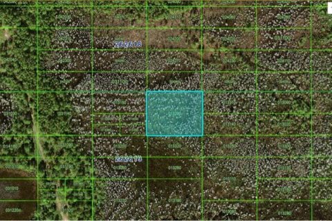 Land in Polk City, Florida № 2202832