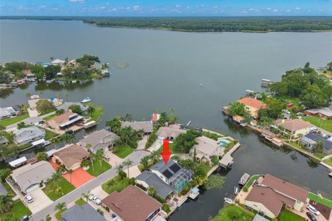 House in Palm Harbor, Florida 3 bedrooms, 220.18 sq.m. № 2287764