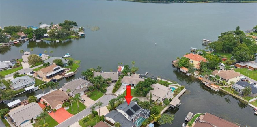 Villa ou maison à Palm Harbor, Floride 3 chambres, 220.18 m2 № 2287764