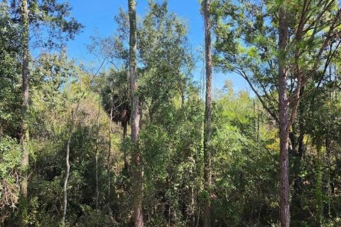 Touwnhouse à louer à Tampa, Floride: 2 chambres, 107.02 m2 № 2398768 - photo 23