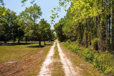 Terrain à vendre à Dade City, Floride № 2258521 - photo 6