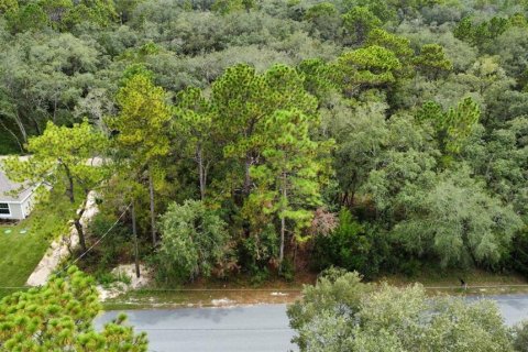 Land in Weeki Wachee, Florida № 1918503 - photo 7