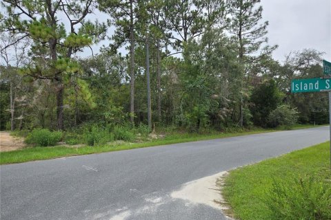 Land in Weeki Wachee, Florida № 1918503 - photo 2