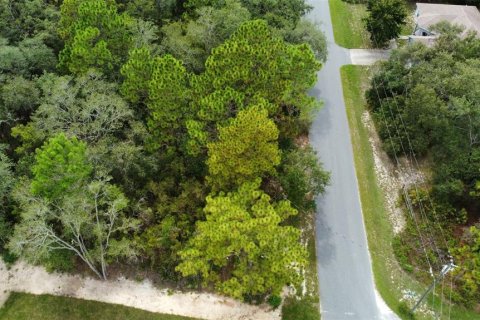 Land in Weeki Wachee, Florida № 1918503 - photo 3