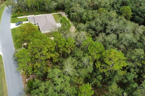 Land in Weeki Wachee, Florida № 1918503 - photo 4