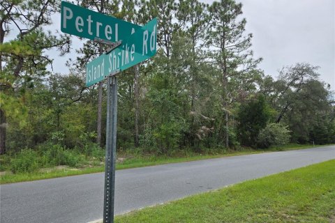 Land in Weeki Wachee, Florida № 1918503 - photo 1