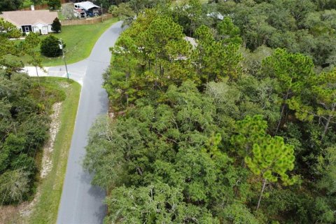 Land in Weeki Wachee, Florida № 1918503 - photo 5