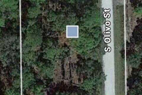 Land in Clewiston, Florida № 1722030 - photo 2