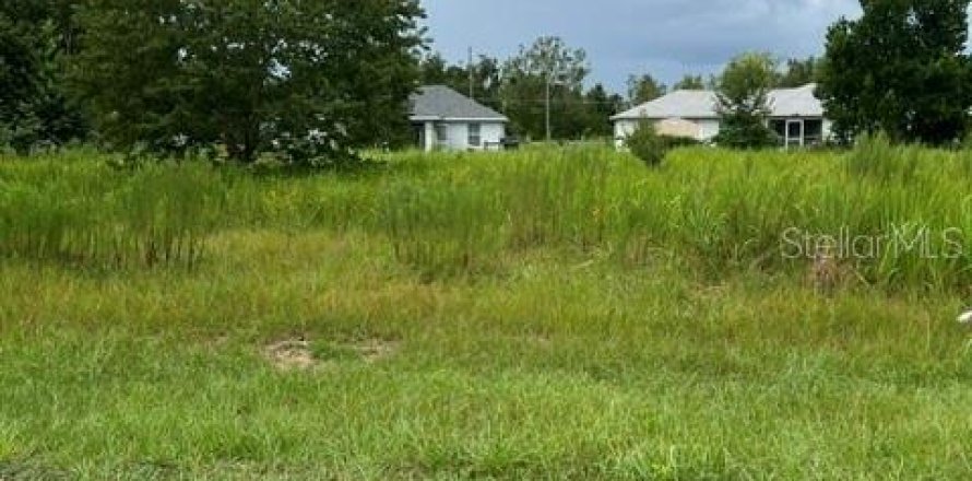 Land in Ocala, Florida № 2386794