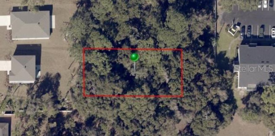 Terrain à DeLand, Floride № 1795405