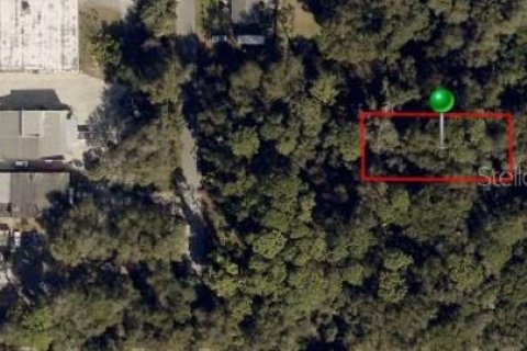 Купить земельный участок в Деланд, Флорида № 1795405 - фото 9