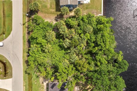 Land in Punta Gorda, Florida № 746509 - photo 5