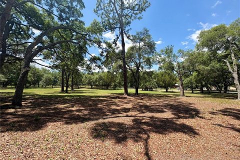 Land in Orange City, Florida № 2122423 - photo 9