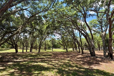 Land in Orange City, Florida № 2122423 - photo 6