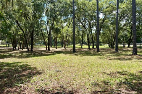 Land in Orange City, Florida № 2122423 - photo 4