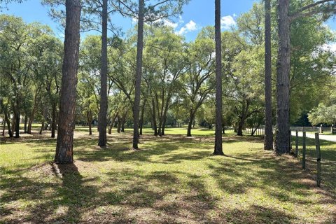 Land in Orange City, Florida № 2122423 - photo 10