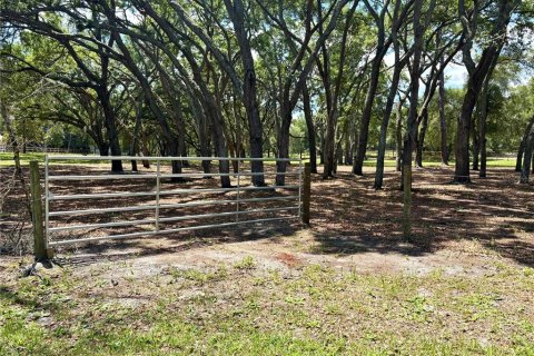 Land in Orange City, Florida № 2122423 - photo 2
