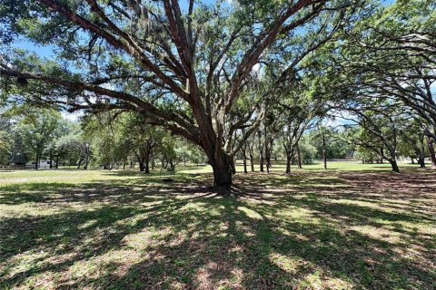 Land in Orange City, Florida № 2122423 - photo 5