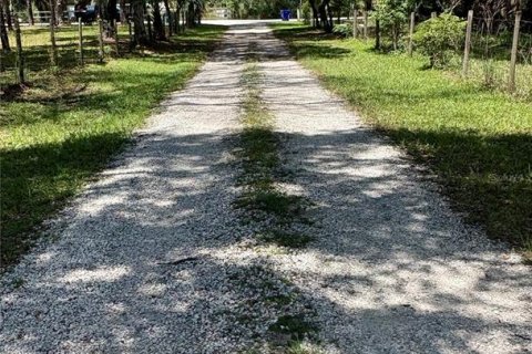 Land in Orange City, Florida № 2122423 - photo 3