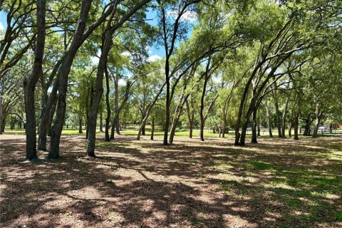 Land in Orange City, Florida № 2122423 - photo 8