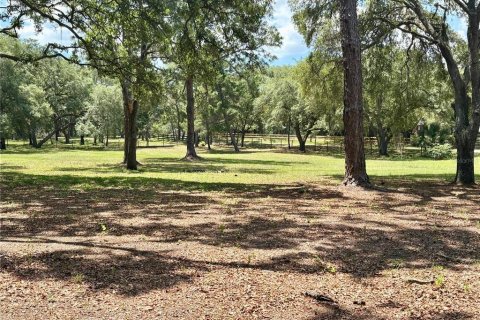 Land in Orange City, Florida № 2122423 - photo 7