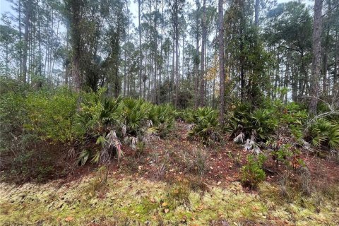 Terreno en Georgetown, Florida № 2162166