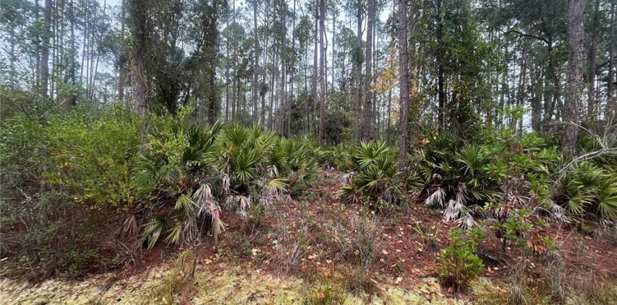 Terrain à Georgetown, Floride № 2162166