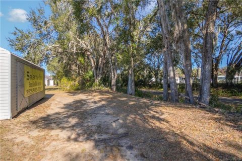 Immobilier commercial à vendre à Inverness, Floride: 222.22 m2 № 2128439 - photo 29